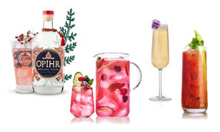 Impress your guests with the very best gin Christmas cocktail serves