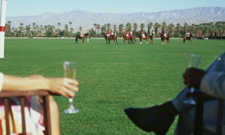 Join the Ultimate Garden Party at the Val de Vie Polo Estate